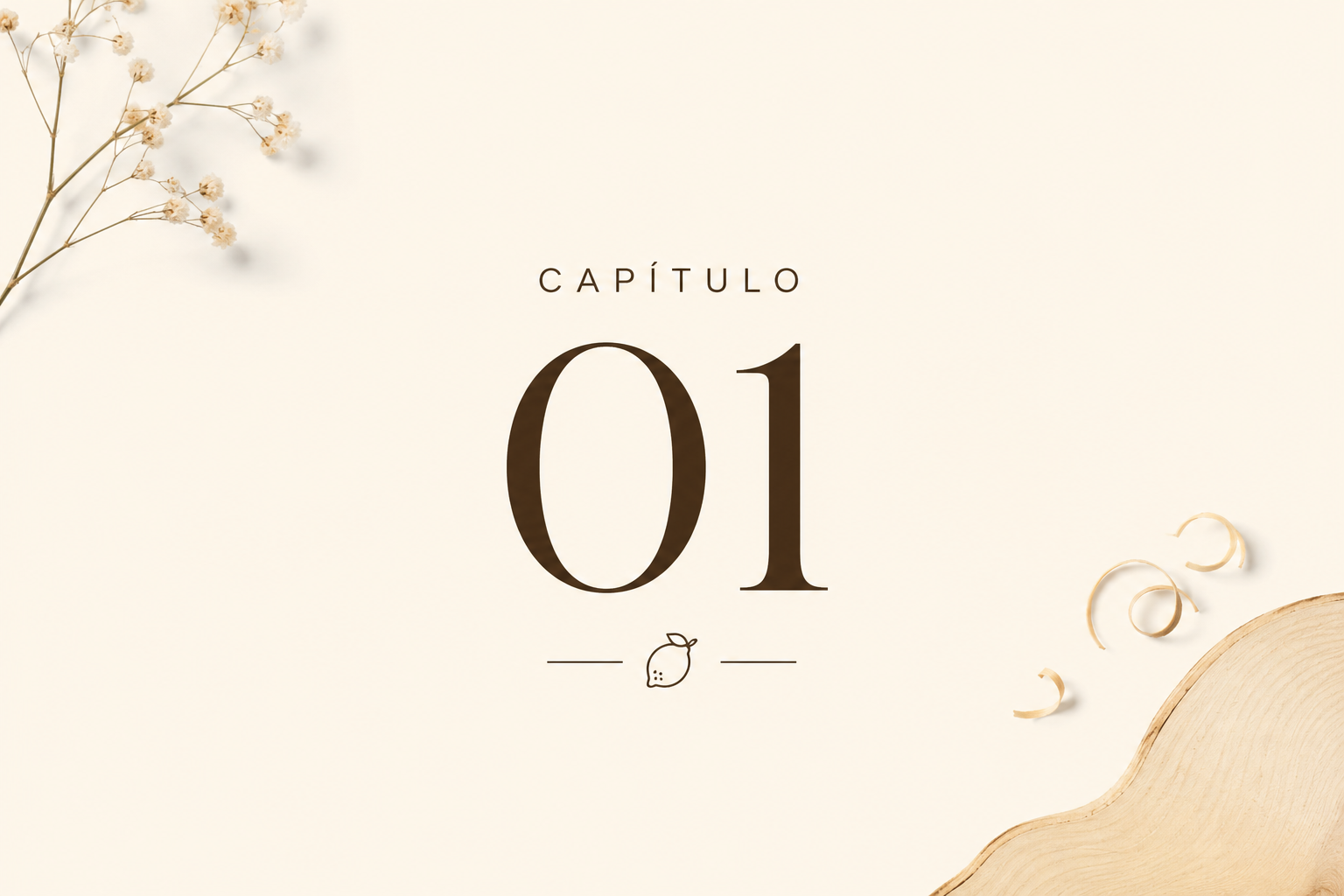 Capítulo 01