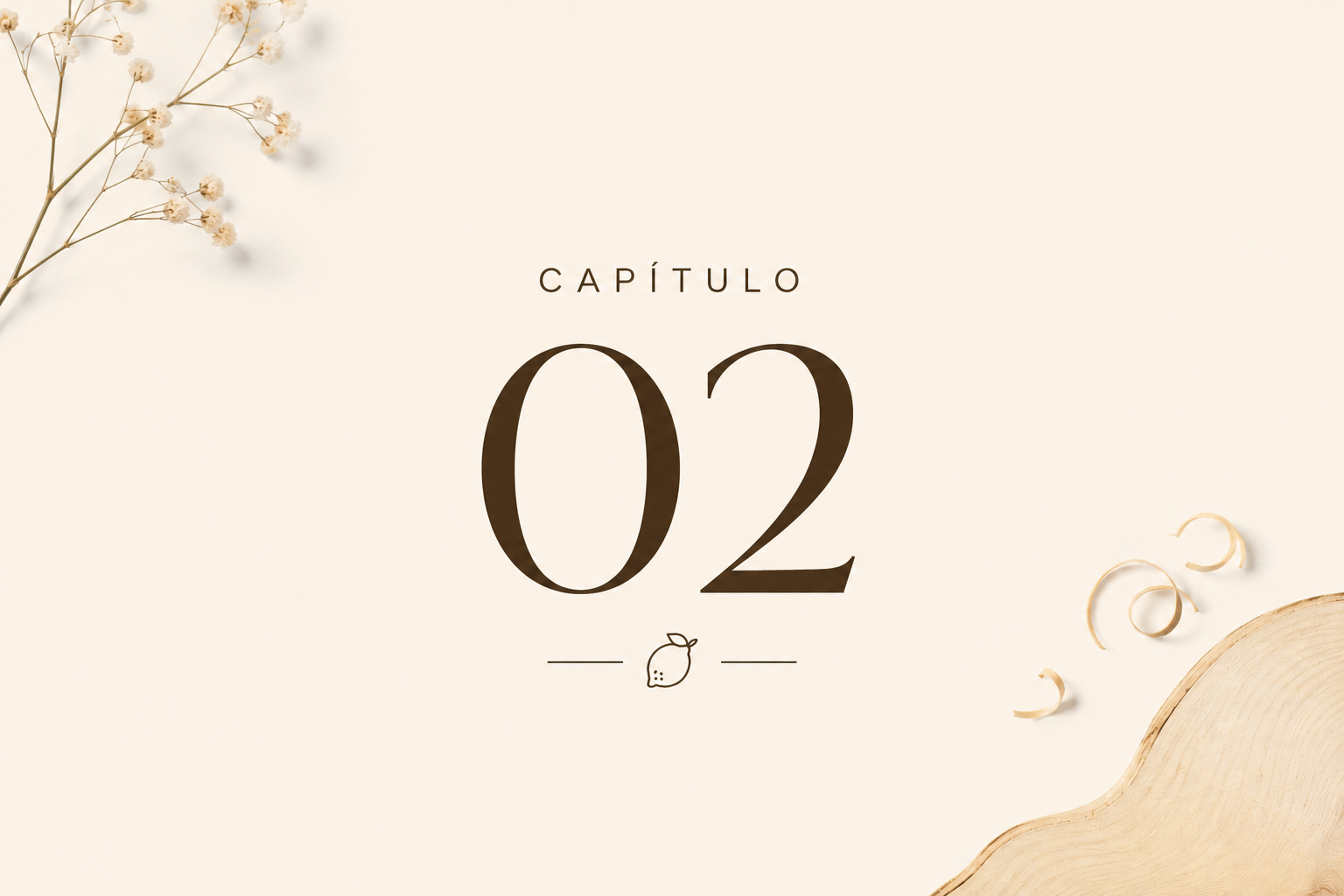 Capítulo 02