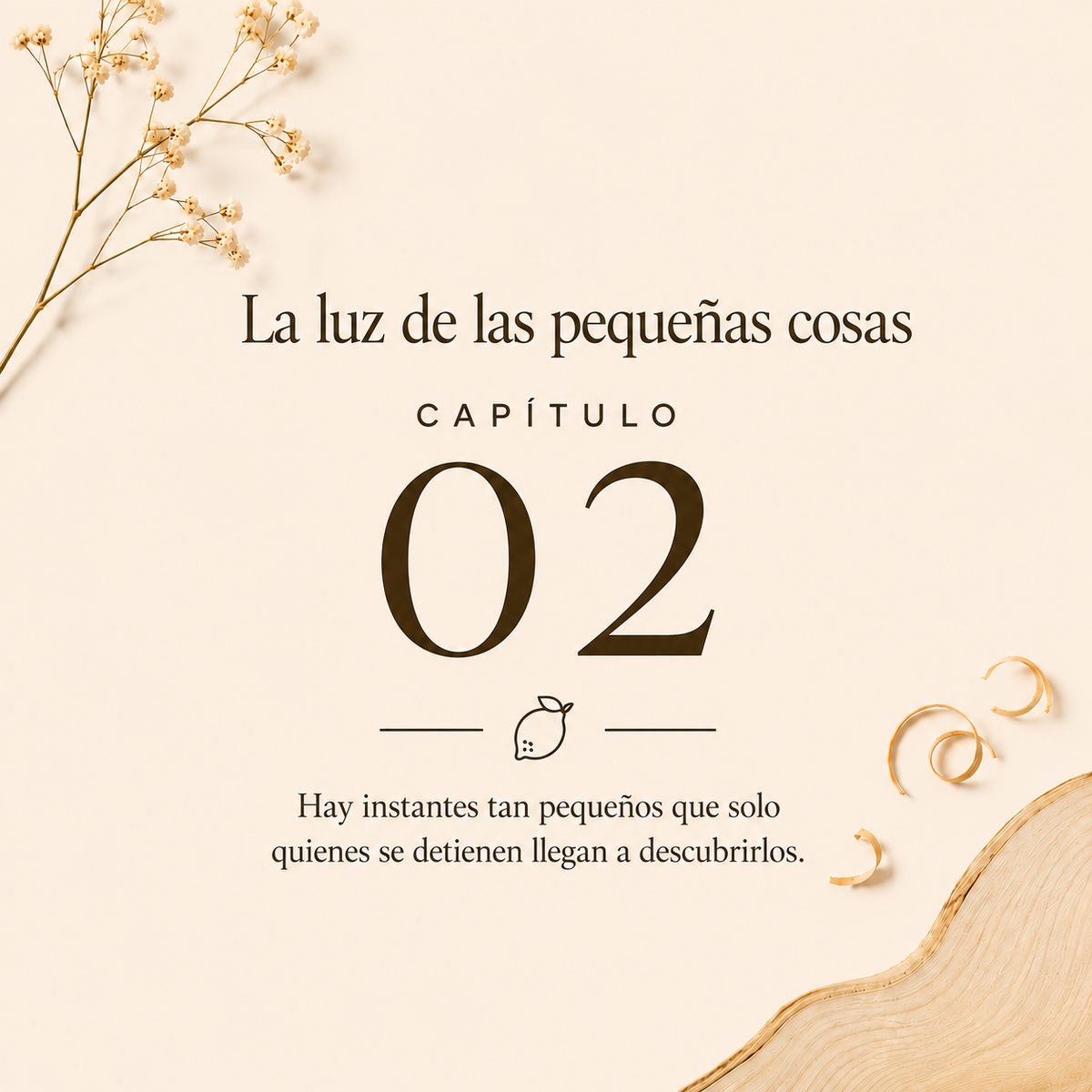 CAPÍTULO 02