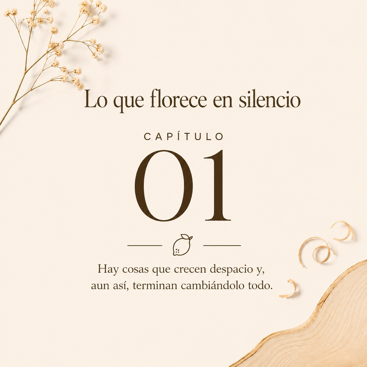 CAPÍTULO 01